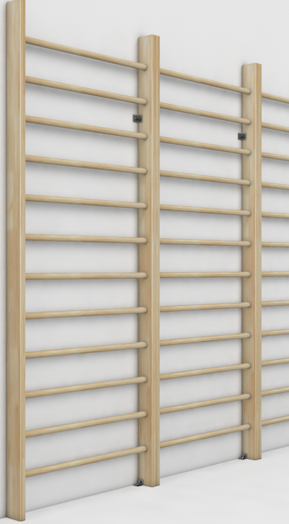 Стенка гимнастическая ZSO-003080