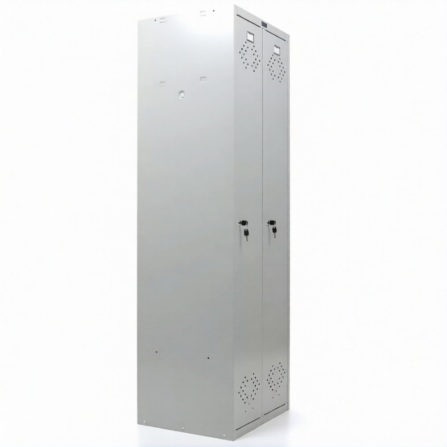 Шкаф ПРАКТИК МД LS(LE)-21